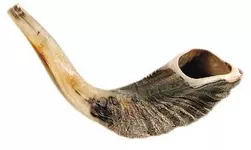 Shofars & Accessories