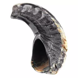 Shofars & Accessories