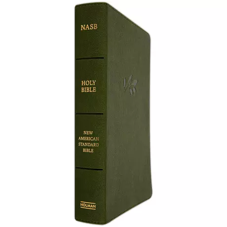 NASB-New American Standard Bible