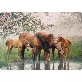 Children’s Puzzles