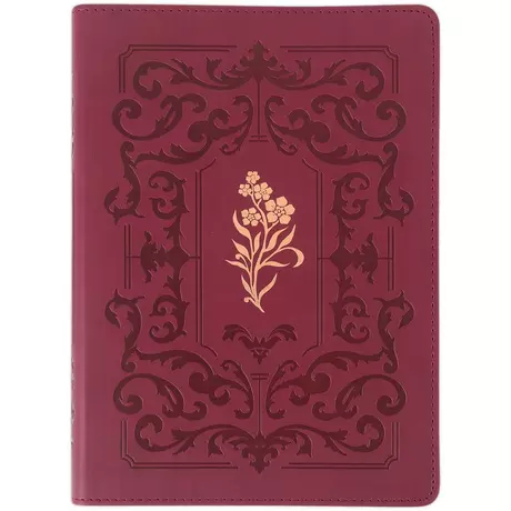 NLT Bibles