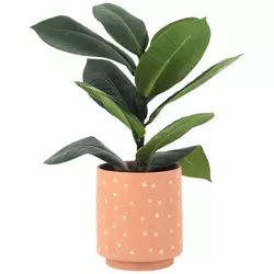 Plant Decorations