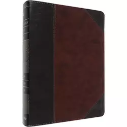 Featured Creators and Collections