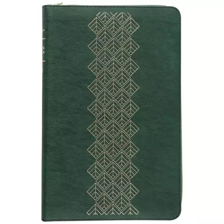 NLT Filament Bibles for Him