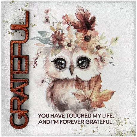 Grateful Fall Owl