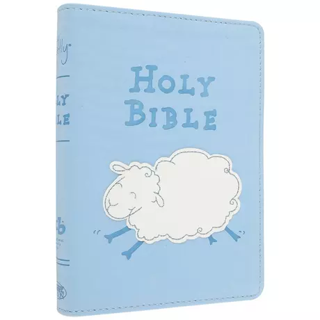 Bibles for Children