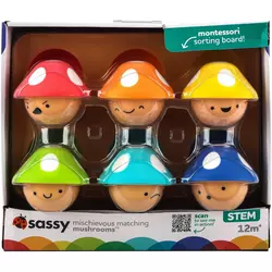 Infant & Toddler Toys