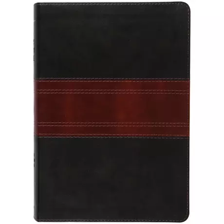 ESV Study Bibles for Men