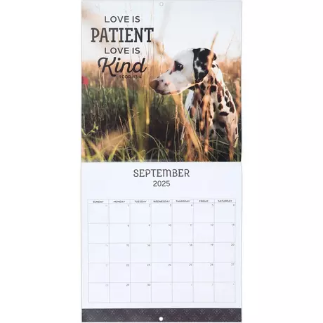 Wall Calendars