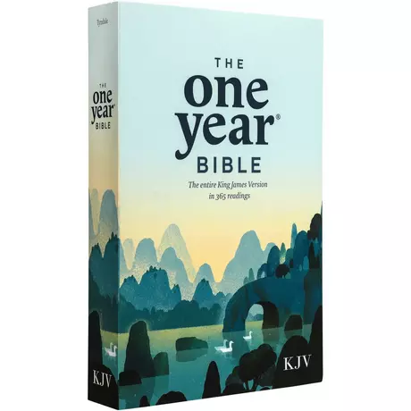 Bibles for Christmas