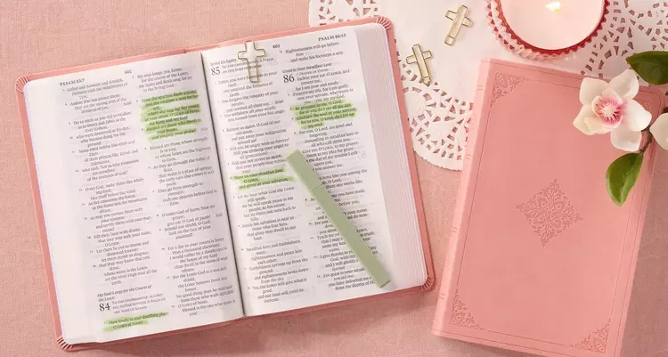 Bibles