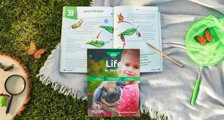 Homeschool Curriculum