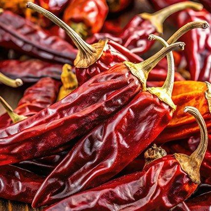 Guajillo Chili