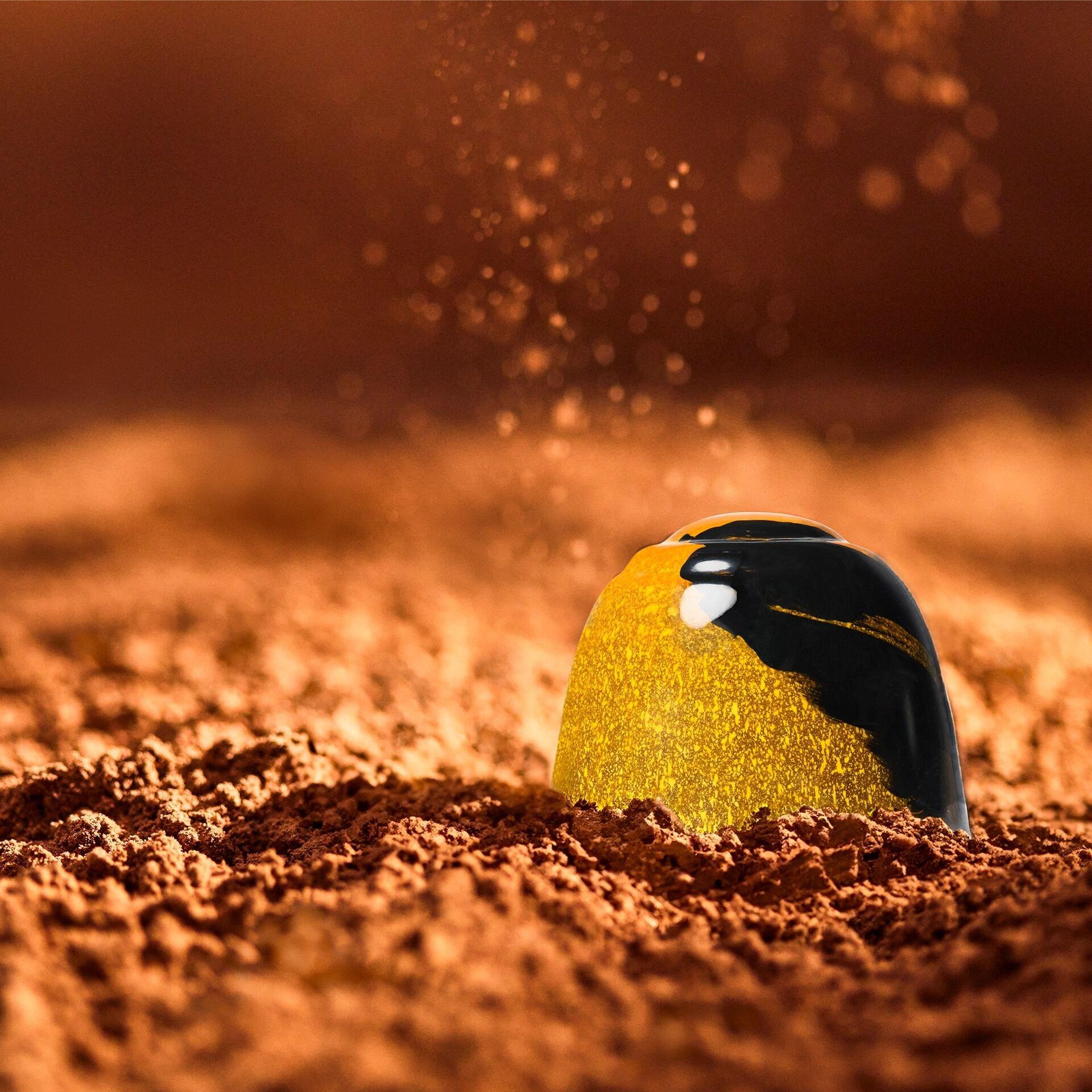 Ethel M Chocolates Remy Martin Cognac Truffle on a bed of cocoa powder