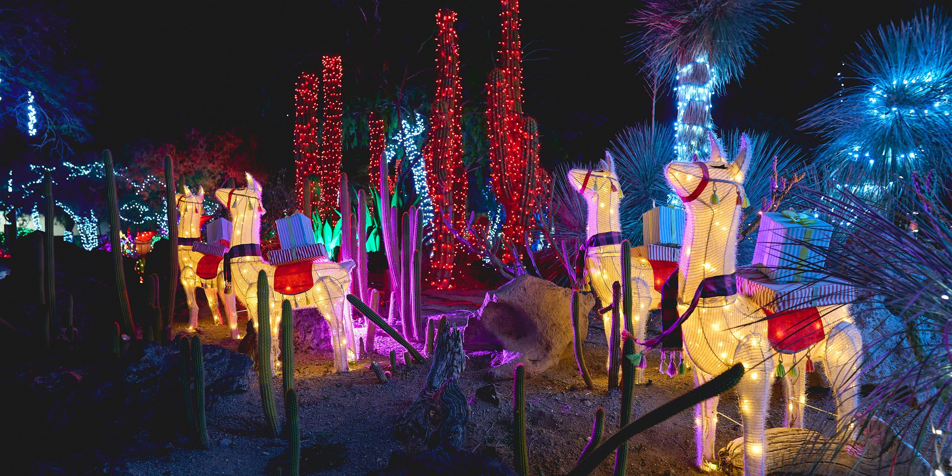 Ethel M Chocolates Cactus Garden Lights