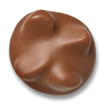 Macadamia Salute Milk Chocolate 0