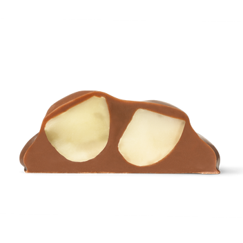 Macadamia Salute Milk Chocolate 1