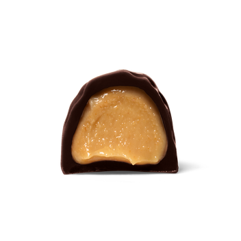 Peanut Butter Dark Chocolate 1