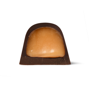 Prickly Pear Satin Crème Dark Chocolate 1
