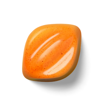 White Chocolate Pumpkin Spice 0