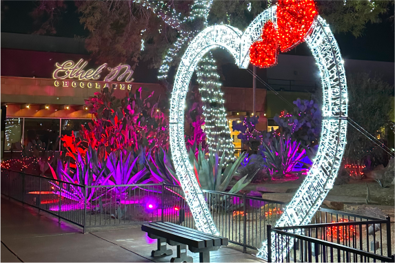 11th Annual Lights of Love