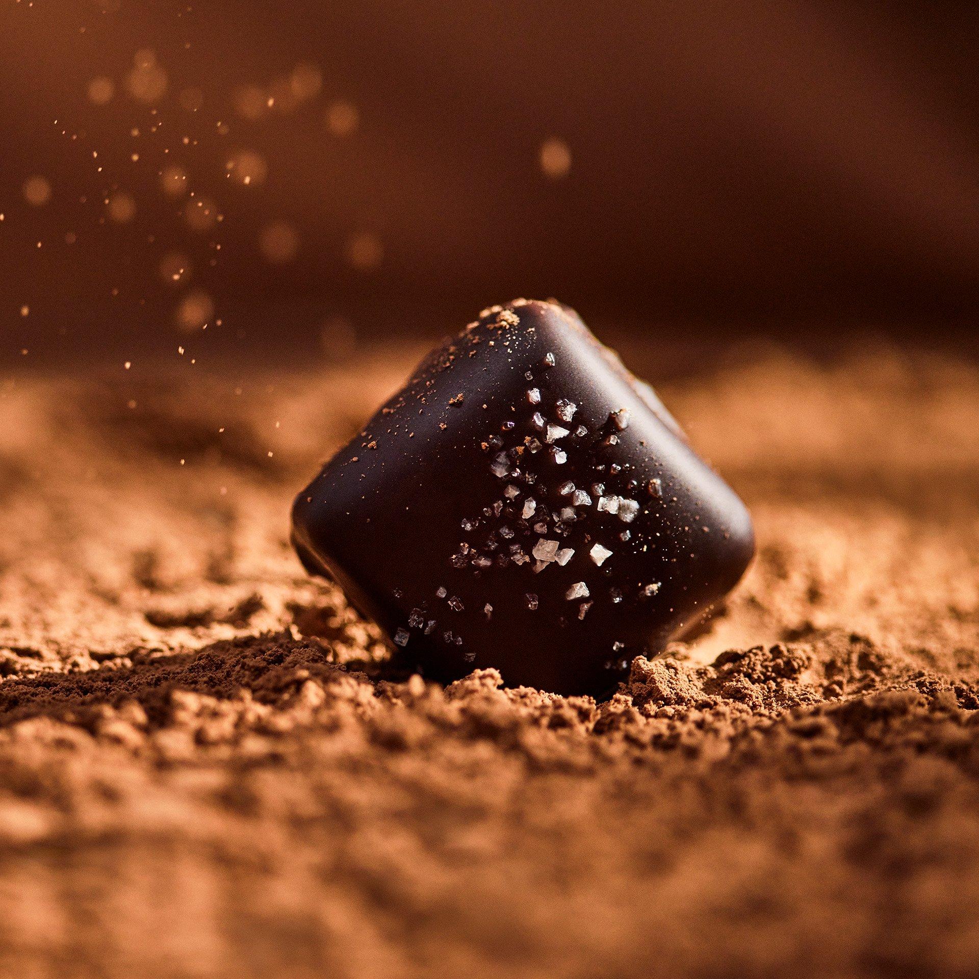 Ethel M Chocolates Dark Chocolate Sea Salt Caramel with a sprinkle of salt on a bed of cocoa powder.