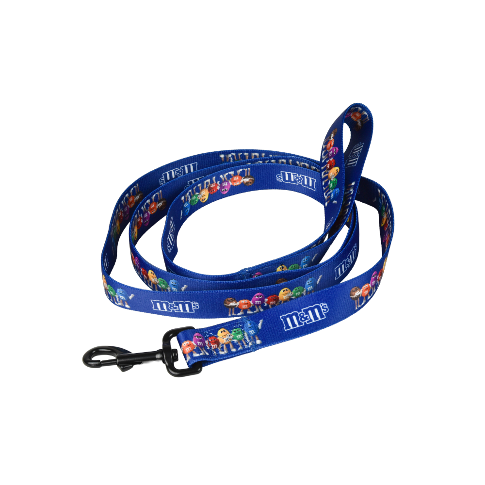 character pet leash 1