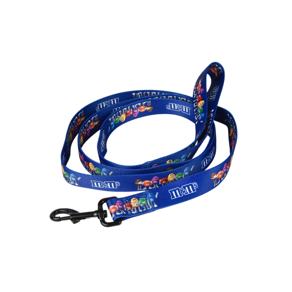 character pet leash 1