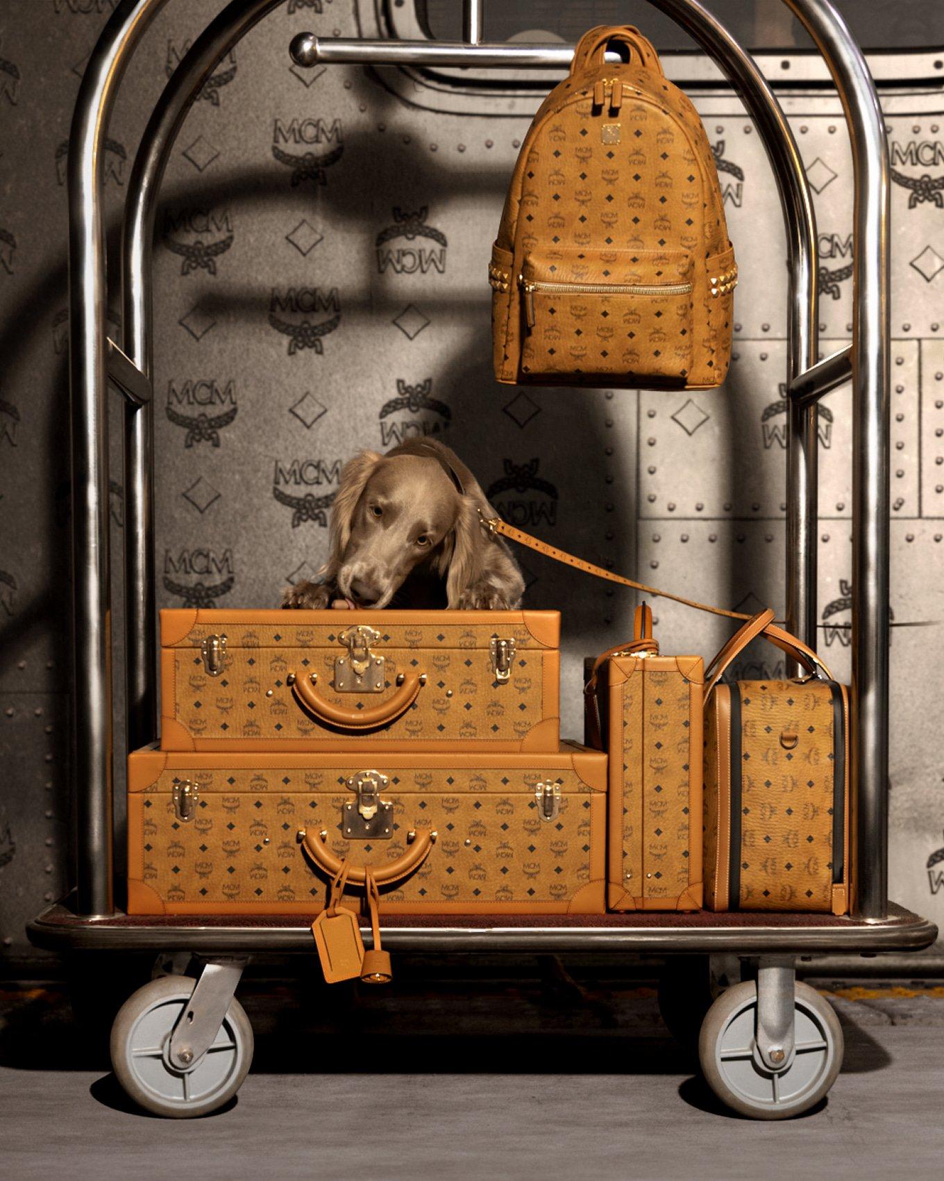 MCM JP Official Online Store | A tribute to bold luxury travel