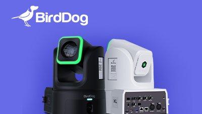 purple with birddog logo with ptz cameras