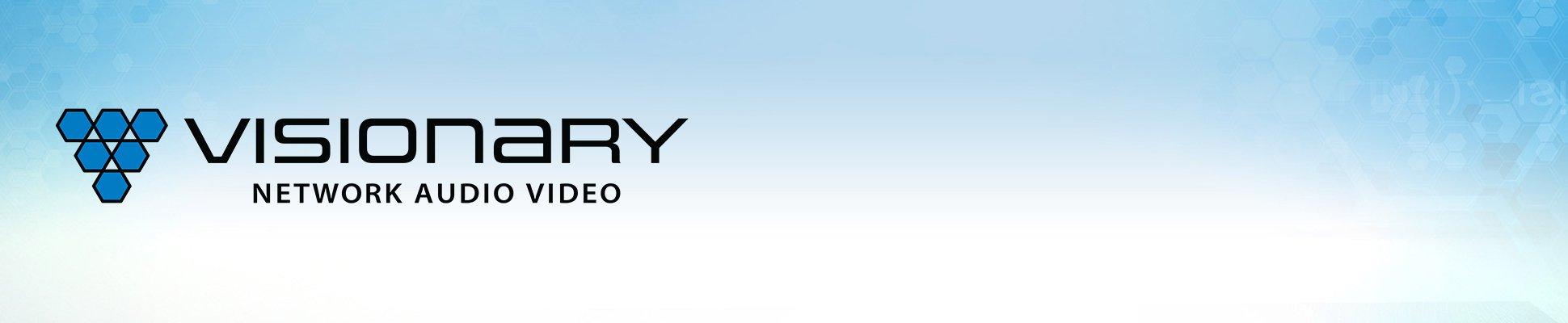 Visionary solutions logo