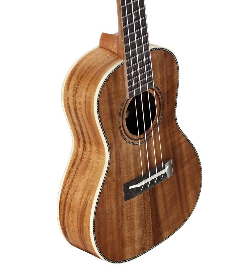 Alvarez Guitars AU90C