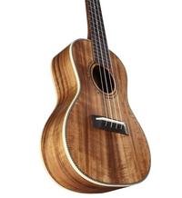 Alvarez Guitars AU90C
