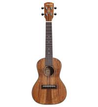 Alvarez Guitars AU90C