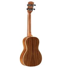 Alvarez Guitars AU90C