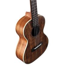 Alvarez Guitars AU90T