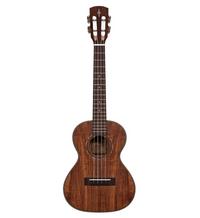 Alvarez Guitars AU90T