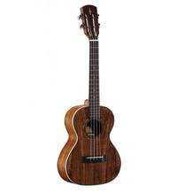 Alvarez Guitars AU90T