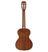 Alvarez Guitars AU90T