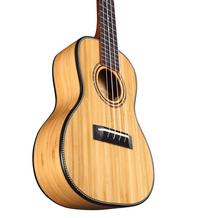 Alvarez Guitars MU55C
