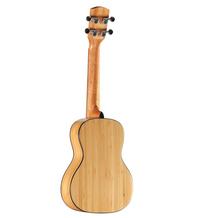 Alvarez Guitars MU55C