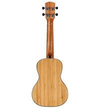 Alvarez Guitars MU55C