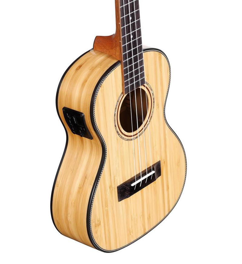 Alvarez Guitars MU55TE