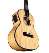 Alvarez Guitars MU55TE