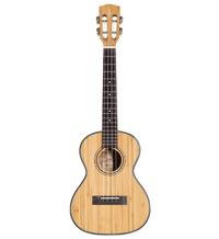 Alvarez Guitars MU55TE