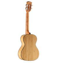 Alvarez Guitars MU55TE