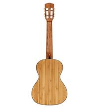 Alvarez Guitars MU55TE