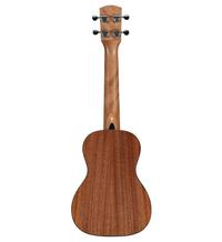 Alvarez Guitars RU26C