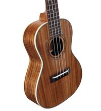 Alvarez Guitars RU90CP