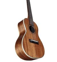 Alvarez Guitars RU90CP